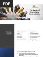 Chapter 10 - The Nature of Intercultural Communication