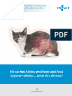 TROVET Renal Venison RID Brochure-1