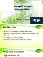 Absorption and Translocation in Plants