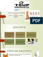 Diapositivas Esguinces