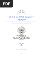 Leyes de Biot-Savat y Faraday