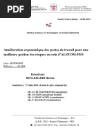 Amélioration Ergonomique Des Postes de Travail Pour Une Meilleure Gestion Des Risques Au Sein d'ALSTOM-FES - ALSTOM-FES