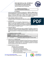 1.modelo TDR Servicios de Almuerzos PEPS 2023