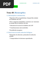 TEMA 4.B Bioquimica