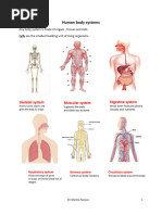 Human Body Systems