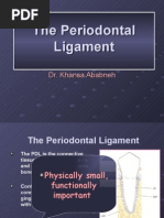 Periodontal Ligament-Summer