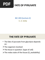 Carbohydrate Metabolism 02-The FATE of PYRUVATE