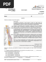 Ficha Apoio - Nâº 10 - Oc - Antropica - Minerais