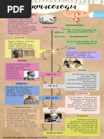 Infografía Línea Del Tiempo Timeline Historia Moderno Creativo Multicolor - 20230815 - 131023 - 0000