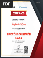 Curso INDUCCIÓN Y ORIENTACIÓN BÁSICA - Doc 44126790 - DIAZ CONDORI RONNY