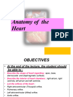 Anatomy of The Heart (CP)