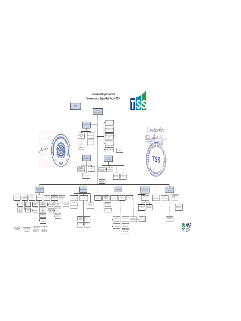 Organigrama Tss Nov2019 | PDF