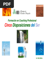 IEI Cinco Disposiciones Del Ser