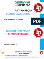 EL PROFA SOBRE PLENOS CASATORIOS CIVILES Letra Grande