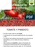 Enfermedades Tomate y Pimiento 12 Mayo 2023