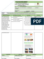 PLAN DE REFUERZO MODIFICADO - Rosa - FORMATO