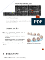 Histologia e Embriologia - Anexos Embrionários