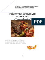 Oprea Petruta Proiect de Activitate Integrata