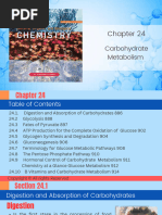 Carbohydrate-Metabolism-BSMT-2B 20231020 172711 0000