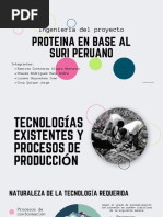 Ingenieria Del Proyecto - Proteina de Suri