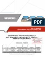 GEN P 005 - 0 - Procedimiento Operacion Camion Pluma