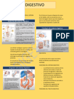 Digestivo TP 1 y 2