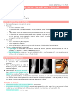 6 Lesiones Traumáticas de Tobillo y Pie - 221101 - 120039