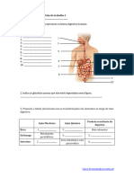 Ficha de Trabalho 2. Sistema Digestivo