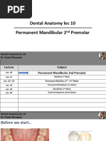 Dental Anatomy Lec 10