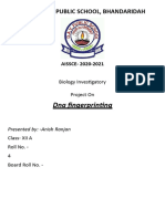 Dna Fingerprinting: B.R.L. D.A.V. Public School, Bhandaridah