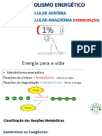 Respiração Celular e Fermentação Pré Vest - Aula