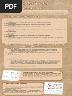 Infografia Matrices