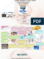 Mapa Mental Semana 5 2.1 Patologías Del Recién Nacido