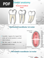 Presentation 1