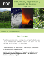 Perturbacion en Bosques Tropicales Clase3-4