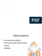 Adrenal