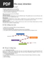 The Essay Structure