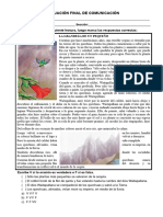 5° Grado - Evaluacion Comunicación