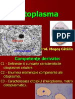 Citoplasma Fundamentala (Prezentare Catalin)