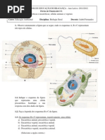 2.1. - Ficha de Trabalho Nº1