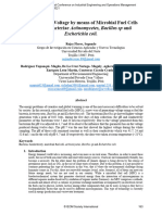 Generation of Voltage by Means of Microbial Fuel Cells Using The Bacteriae Actinomycetes, Bacillus SP and