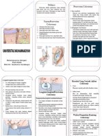 Leaflet Stoma