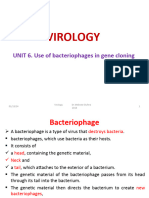 Virology Unit 6 7