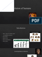 Evolution of Humans