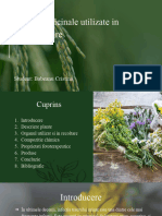 Copie A Fișierului Plante Medicinale-Babeanu Cristina