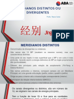 Aba - Meridianos Distintos Ou Colaterais