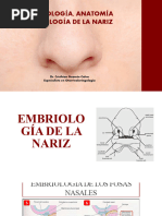 ANATOMIA, EMBRIOlOGÍA Y FISIOLOGÍA DE LA NARIZ