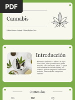 Cannabis