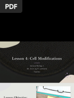 Lesson 4 - Cell Modifications