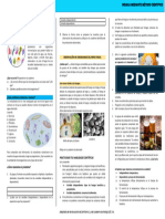 Practica Laboratorio Del Reino Protista y Fungi